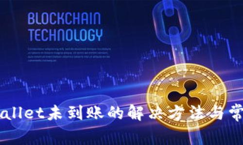 提HT到TPWallet未到账的解决方法与常见问题解析