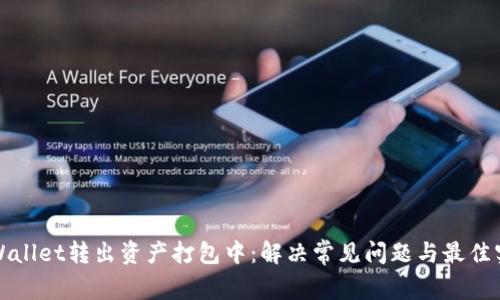 tpWallet转出资产打包中：解决常见问题与最佳实践