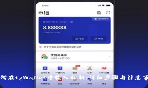 如何在tpWallet中输入私钥：详细步骤与注意事项