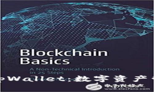 全面解析tpWallet：数字资产管理新选择
