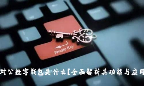 对公数字钱包是什么？全面解析其功能与应用