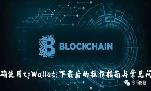 如何正确使用tpWallet：下载后的操作指南与常见问题解答