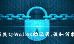 若丢失tpWallet助记词，该如