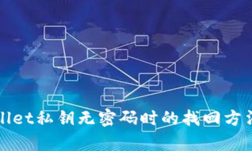tpWallet私钥无密码时的找回方法详解