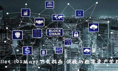 tpWallet iOS版app下载指南：便捷的数字资产管理工具