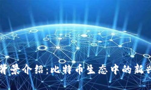 tpWallet官方背景介绍：比特币生态中的新兴数字资产钱包