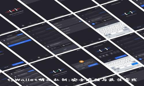 tpWallet明文私钥：安全存储与最佳实践