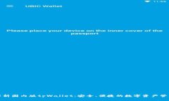 全面解析国内版tpWallet：安全、便捷的数字资产管