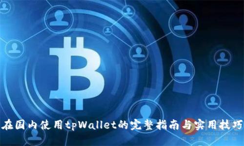 在国内使用tpWallet的完整指南与实用技巧