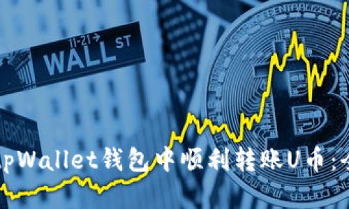 如何在tpWallet钱包中顺利转账U币：全面指南