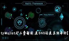 tpWallet矿工费解析：是BNB还是其他币种？