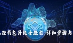 小狐狸钱包升级全教程：详细步骤与技巧