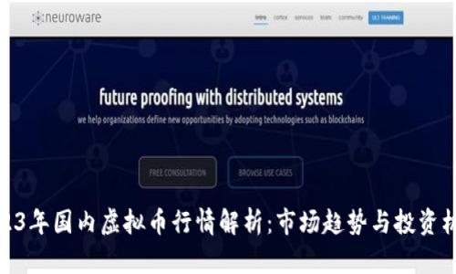 2023年国内虚拟币行情解析：市场趋势与投资机会