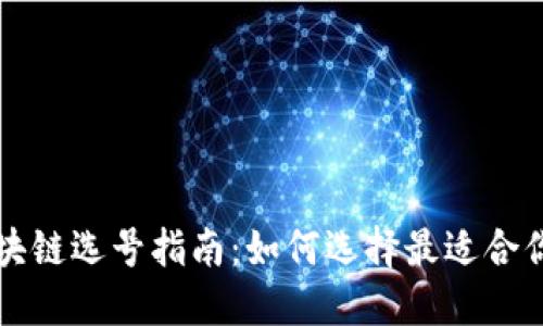 区块链选号指南：如何选择最适合你的