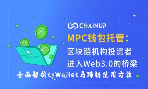 全面解析tpWallet马蹄链使用方法